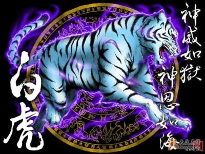 四灵神兽 四方镇煞之四灵神兽