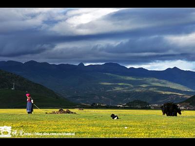 香格里拉香巴拉小镇 【香格里拉】美的今人窒息的香巴拉(组图)