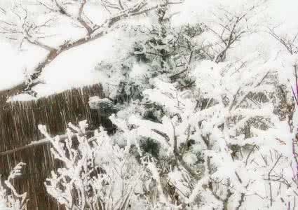 雪景拍摄 拍出漂亮雪景的几招绝活