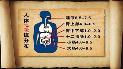 人的酸碱性体质 人的酸、碱性体质