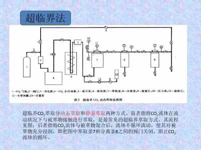 吗啡的提取工艺 京大戟的提取工艺 你知道京大戟的提取工艺吗