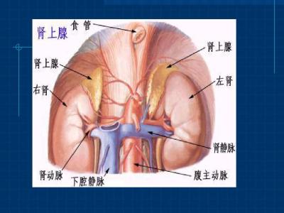 库欣综合征怎么治疗 库欣综合征怎么治疗 库欣综合征的治疗注意事项