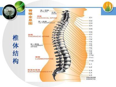 颈椎病治疗方法 颈椎病治疗最进展 颈椎病的病理进展和最佳的治疗方法