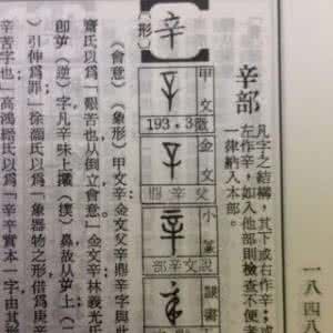 人尽可夫手机在线播放 说文解字：“人尽可夫”本非指女人作风问题|人尽可夫|《左传》