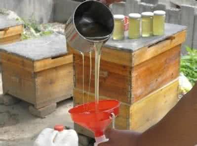 饥荒蜂箱 饥荒蜂箱 梦见蜂箱