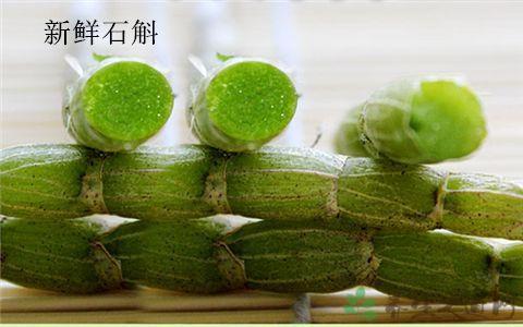 铁皮石斛治疗糖尿病 铁皮石斛可以治疗糖尿病