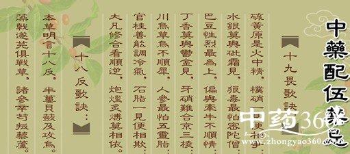 吃中药的禁忌 注意：怀孕前禁忌三类中药