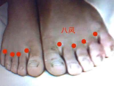八风 经外奇穴—八风穴