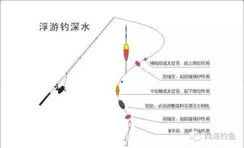 石鳞鳗在哪钓 钓鱼多少可以钓石鳞鳗?哪可以钓到?谢谢 石鳞鳗