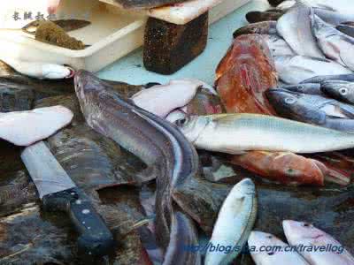 马赛港 马赛旧港，看风情万种品绝世鲜汤