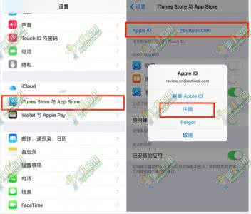 app打不开白屏怎回事 Appstore白屏打不开切DNS也没用解决教程