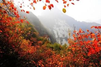 少华山 雄险奇伟--少华山(旅游览胜)
