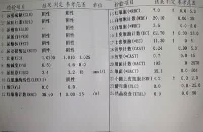 尿酸碱度和尿酸 尿酸碱度和尿酸 尿酸碱度 人体中尿酸ph的调节
