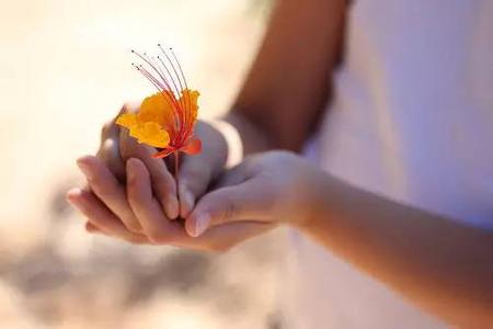 如何把握好一段感情 感情是多么需要好好的把握和珍惜