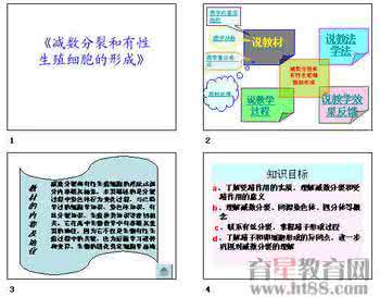 细胞器与生物膜系统 高考生物热点冲刺：专题05 细胞器 （教师版）