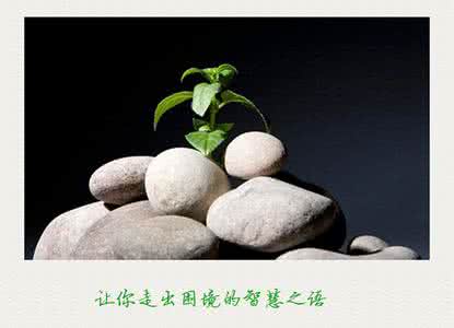 从未见过你真心 从未见过你真心 从未见过如此豪华的试管婴儿疗养所！