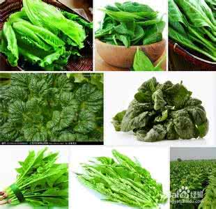 蔬菜保存时间 延长绿叶蔬菜保存时间的方法——超实用，生活必备知识