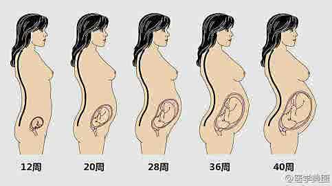 儿童营养不良的危害 孕中期营养不良的危害