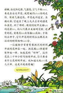 人教版三年级上册语文 人教版三年级上册语文《花钟》课后训练题
