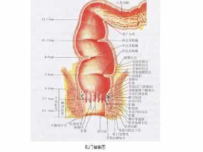 肺部肿瘤的治疗方法 肺部肿瘤 如何治疗肺部肿瘤
