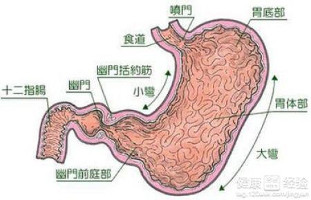 痛风临床表现有哪些 肾下垂 它有哪些临床表现