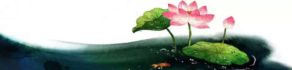 花开见佛 花开见佛---白落梅