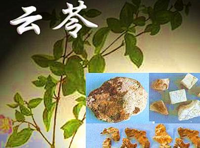 小柴胡加茯苓白术汤 祖传秘方：高血脂圣方柴胡大黄白术降脂汤