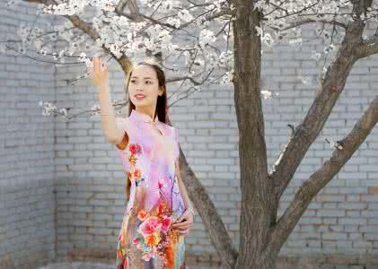 艳冠群芳 杏红丹雅  艳冠群芳