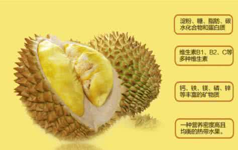 榴莲营养价值剖析 榴莲营养价值剖析 枢府瓷简介及价值剖析