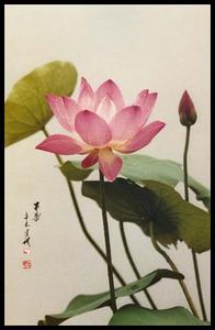 张文明 斗鱼 张文明:试论摄影语言