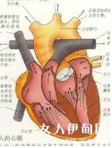 病毒性心肌炎后遗症 病毒性心肌炎后遗症 病毒性心肌炎饮食原则