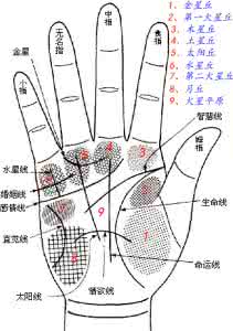 手相图解大全 手相图解大全手相分析法