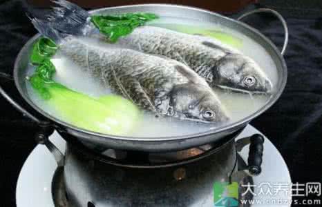 鲫鱼的药用价值与功效 鲫鱼的药用价值与功效 鹿血酒的功效 好处及药用价值