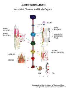 大衍之数如何用 大衍之数如何衍