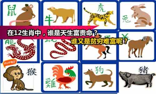 儿女双全是命中注定 命中注定是什么生肖 夫妻俩都是这个生肖,注定儿女双全,大富大贵!