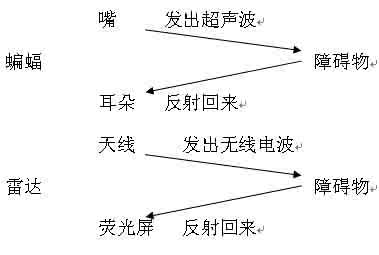 蝙蝠和雷达的教学设计 《蝙蝠和雷达》教学设计