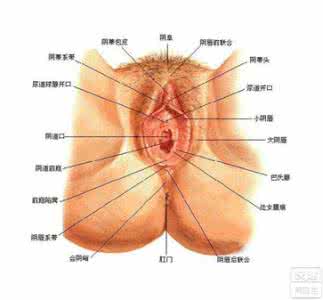 手机屏幕白斑形成原因 白斑是什么原因形成的 外阴白斑的形成原因是什么