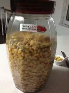 大酱块子发酵过程图片 食品发酵其乐无穷~家庭自酿大酱小攻略