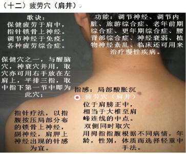 平衡针灸38个图解 平衡针灸图解(不收藏是您的损失)