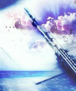 广场舞长笛专辑 赖英里长笛专辑（20首）