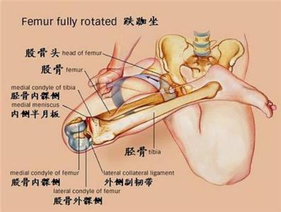 骨关节炎的治疗 骨关节炎治疗 骨关节炎的治疗 如何摆脱骨关节炎困扰