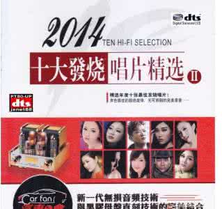 李秀莲边疆情歌唱片 无可挑剔的情歌靓绝旋律《2014十大发烧唱片精选II 》