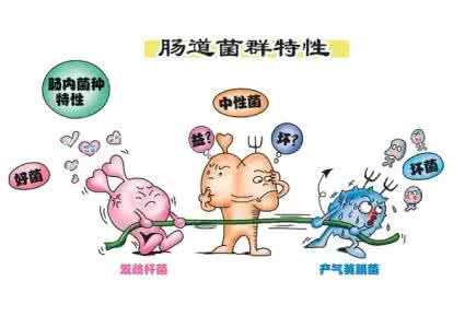 肠道菌群引起那些病 肠道菌群问题在Nature上引起中外科学家激烈辩论