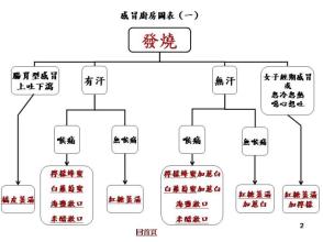 开卷有益 开卷有益——治感冒的厨房图表