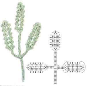 兰花花 爱尔兰花花