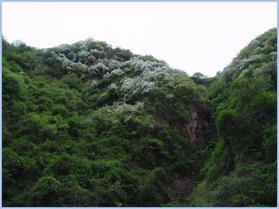 陕西宝鸡天台山 中国山景（156）陕西宝鸡天台山