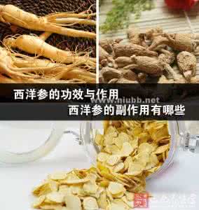 西洋参功效与副作用 西洋参的功效与作用 西洋参的副作用有哪些