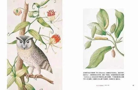 世界读书日好书推荐 与自然相遇的10本好书 | 世界读书日特别策划（三）