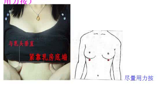 公开的中药丰胸小秘方 丰胸秘方揭秘:小米教你找穴位