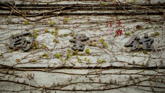 二十四节气吃什么 (转载)二十四节气都吃什么?